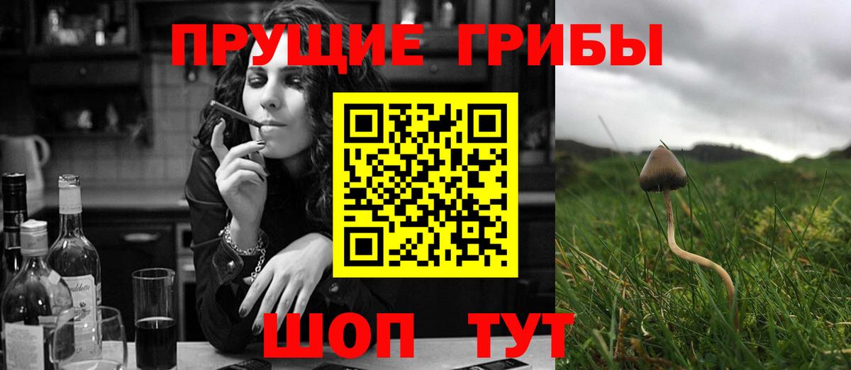 Галлюциногенные грибы мицелий Ишимбай